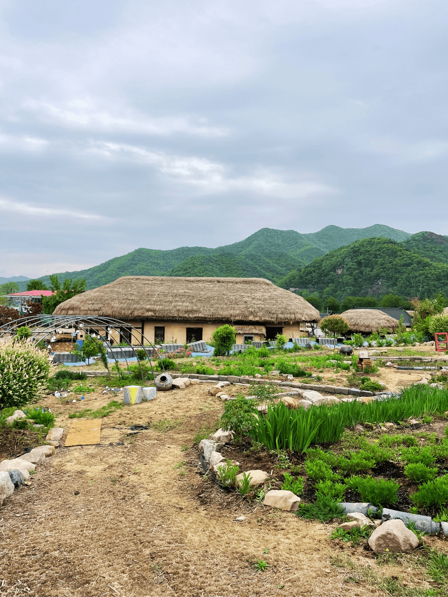 Maison Hanok traditionnelle du village Hanoe, avec son toit de chaume et vue sur les montagnes environnantes.