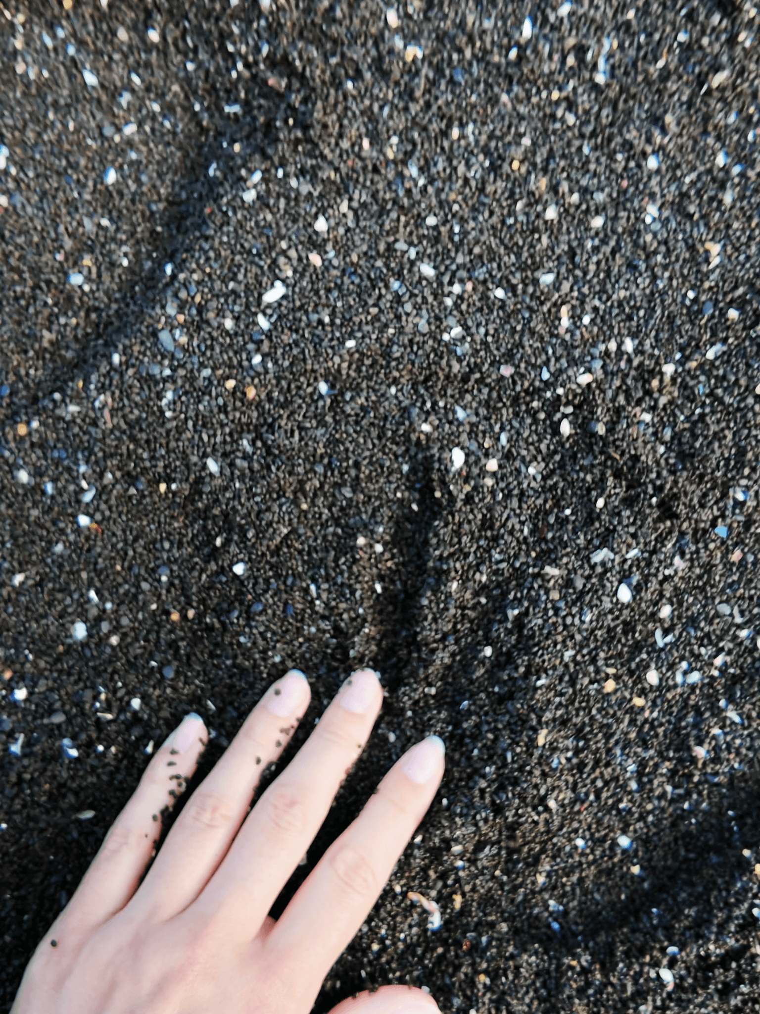 Main qui saisie le sable noir de la plage de Umutgae Coast, sur l'île de Jeju, en Corée du Sud.